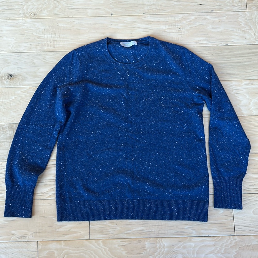 Everlane Crew neck cashmere sweater